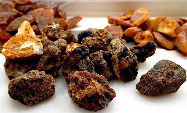 Продажи калининградского черного янтаря за 7 лет выросли в 12 раз